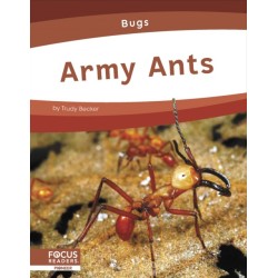Army Ants