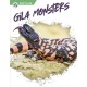 Gila Monsters