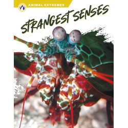 Strangest Senses