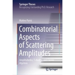 Combinatorial Aspects of Scattering Amplitudes: Amplituhedra, T-duality, and Cluster Algebras