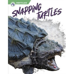 Snapping Turtles