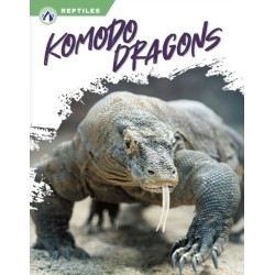 Komodo Dragons