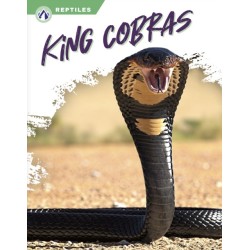 King Cobras
