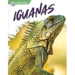 Iguanas