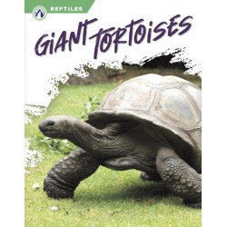 Giant Tortoises