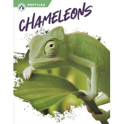 Chameleons