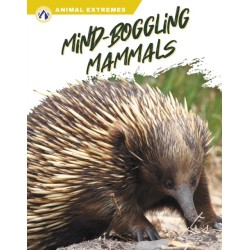 Mind-Boggling Mammals