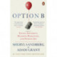 Option B: Facing Adversity, Building Resilience, and Finding Joy