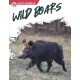 Wild Boars