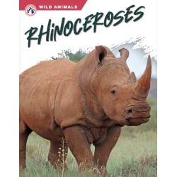 Rhinoceroses