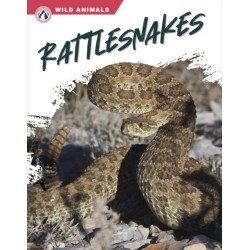 Rattlesnakes