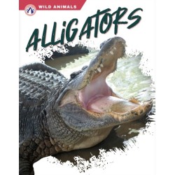 Alligators