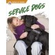 Service Dogs