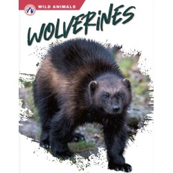 Wolverines