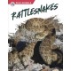 Rattlesnakes
