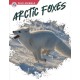 Arctic Foxes