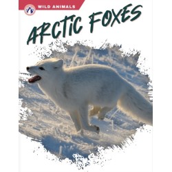 Arctic Foxes
