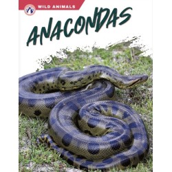 Anacondas