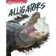 Alligators