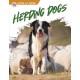 Herding Dogs