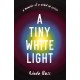 A Tiny White Light: A Memoir of a Mind in Crisis