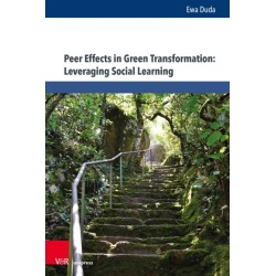 Peer Effects in Green Transformation: Leveraging Social Learning