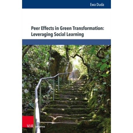 Peer Effects in Green Transformation: Leveraging Social Learning