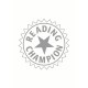 Reading Champion: Reading Champion White Band Graphic Readers 4
