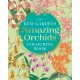 The Kew Gardens Amazing Orchids Colouring Book