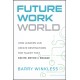 The Future Work World: How Leaders Can Create Destinations for Talent that Excite, Entice & Engage