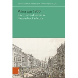 Wien um 1800: Eine Großstadtkultur im historischen Umbruch