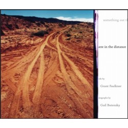 Something Out There in the Distance