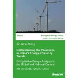 Understanding the Paradoxes in China's Energy Efficiency Trends: Comparative Energy Analysis in the Global and National Context. With a foreword by Nathan E. Hultman