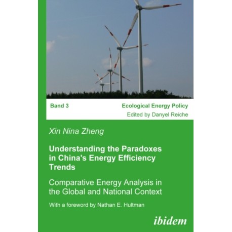 Understanding the Paradoxes in China's Energy Efficiency Trends: Comparative Energy Analysis in the Global and National Context. With a foreword by Nathan E. Hultman