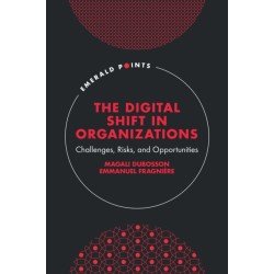 The Digital Shift in Organizations: Challenges, Risks, and Opportunities