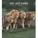 The Last Lions