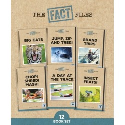 Phonic Books The Fact Files 2: Adjacent consonants and consonant digraphs, and alternative spellings for vowel sounds