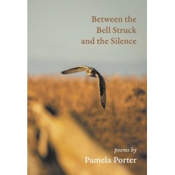 Between the Bell Struck and the Silence