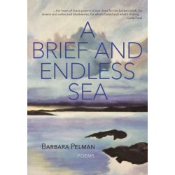 A Brief and Endless Sea