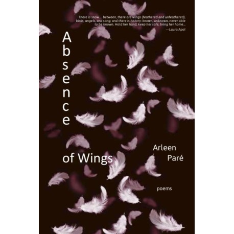 Absence of Wings