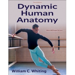 Dynamic Human Anatomy