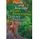 Plants and Animals in Latin American Cultural Production