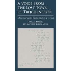 A Voice from The Lost Town of Trochenbrod: A Translation of Poems, Essays and Letters by Yisrael Beider