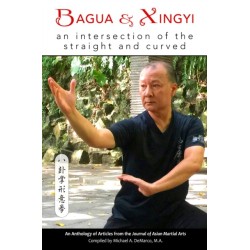 Bagua and Xingyi: An Intersection of the Straight and Curved