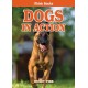 Dogs in Action