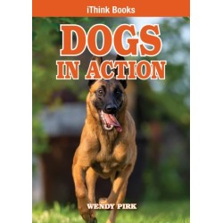 Dogs in Action