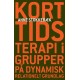 Korttidsterapi i grupper: - på dynamisk, relationelt grundlag