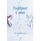 Fodspor i sne