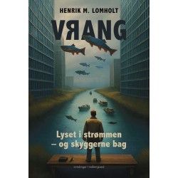 Vrang: Lyset i strømmen – og skyggerne bag