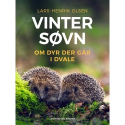 Vintersøvn – om dyr der går i dvale